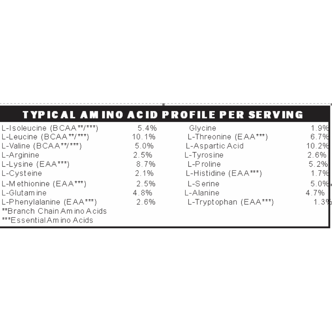 GLP-1 Companion Whey Protein (Vanilla) Low FODMAP, Gut-Gentle Nutrition Support